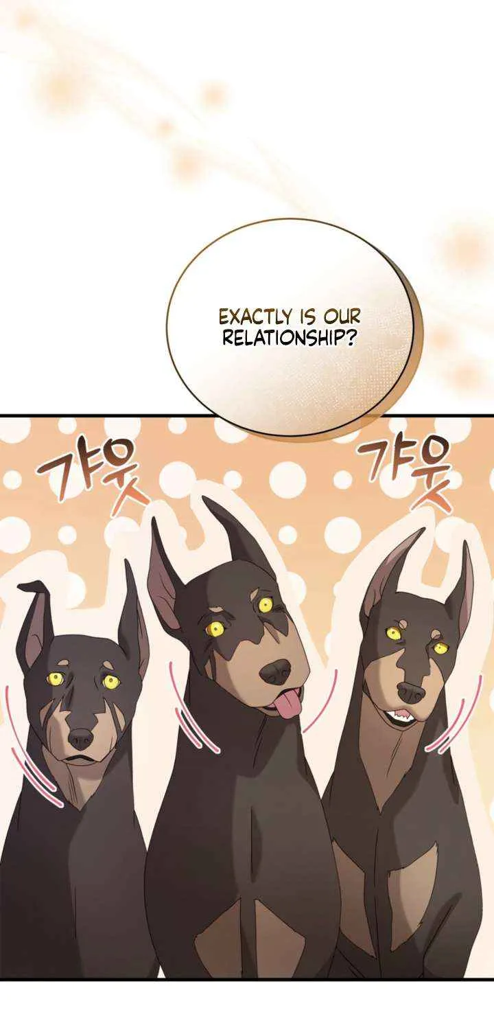 Read Doberman chapter 65 image 49 on Lezhin