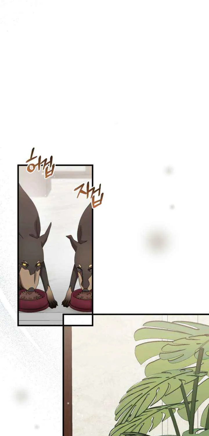 Read Doberman chapter 65 image 5 on Lezhin