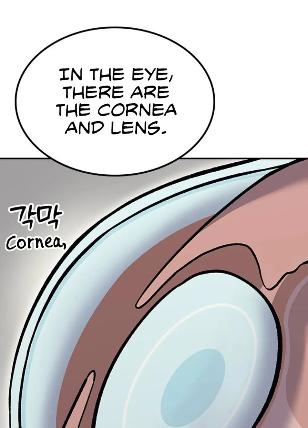Doctor, Joseon Gada Chapter 36 page 151 - 