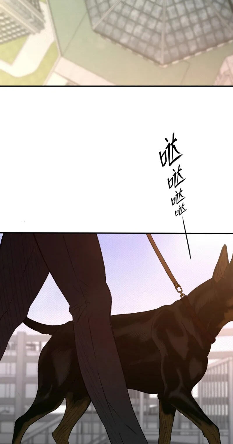 Dog Bite Dog Chapter 6 page 45 - 