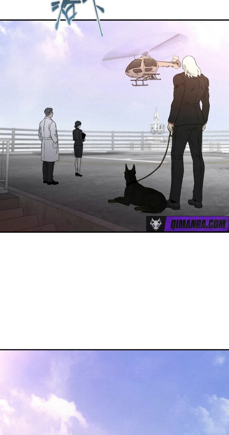 Dog Bite Dog Chapter 6 page 49 - 