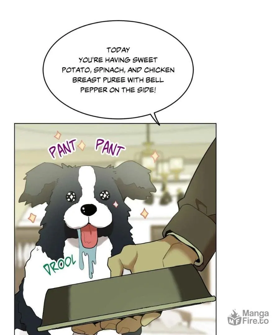 Dog Fur Romance Chapter 10 page 3 - 