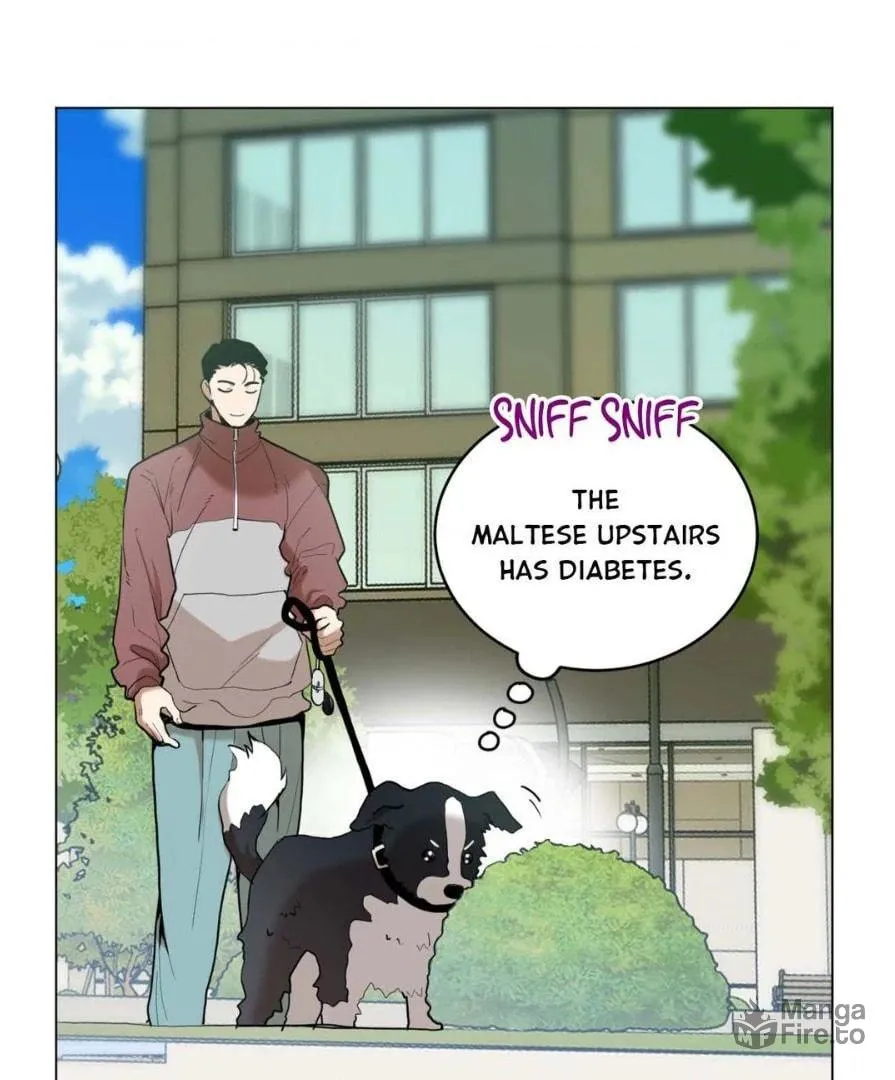 Dog Fur Romance Chapter 10 page 6 - 