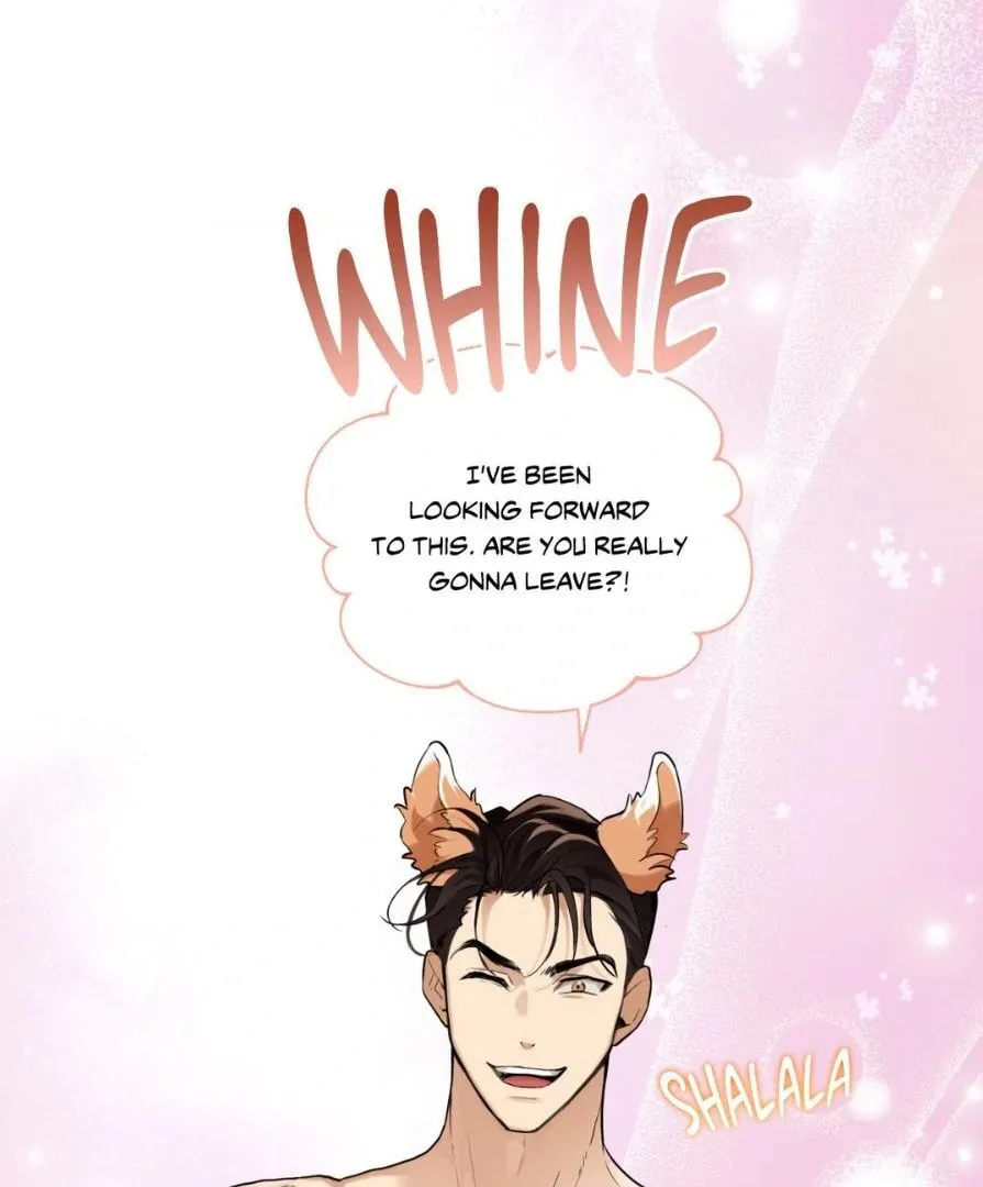 Dog Fur Romance Chapter 10 page 56 - 