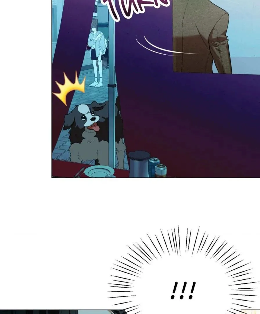 Dog Fur Romance Chapter 11 page 89 - 
