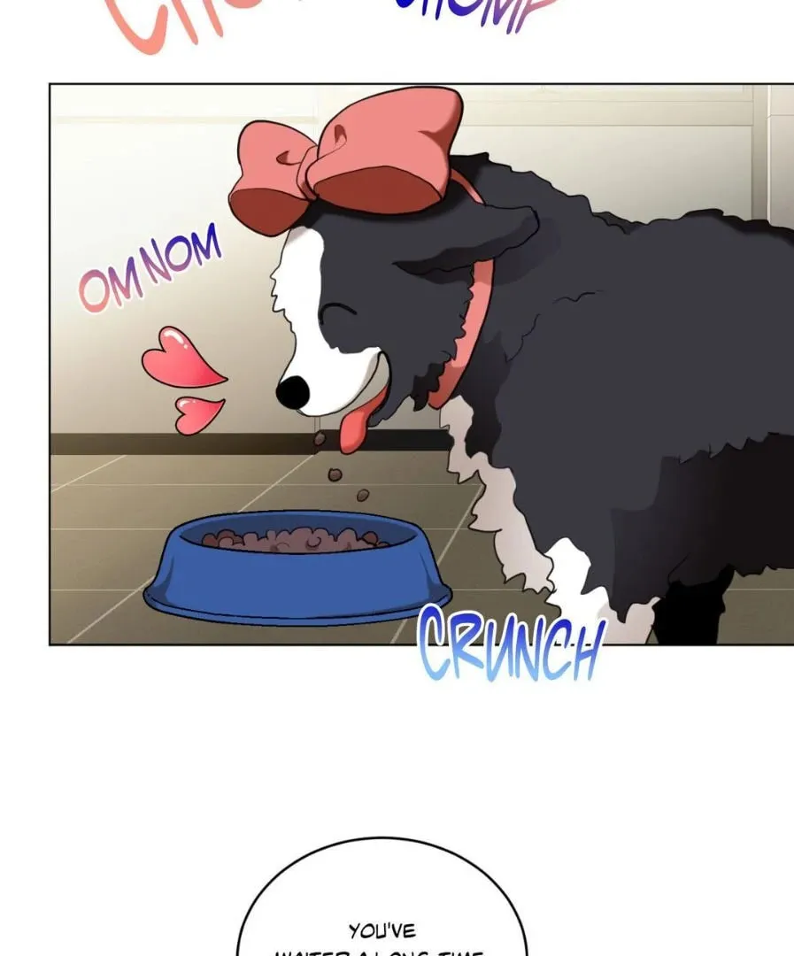 Dog Fur Romance Chapter 12 page 19 - 