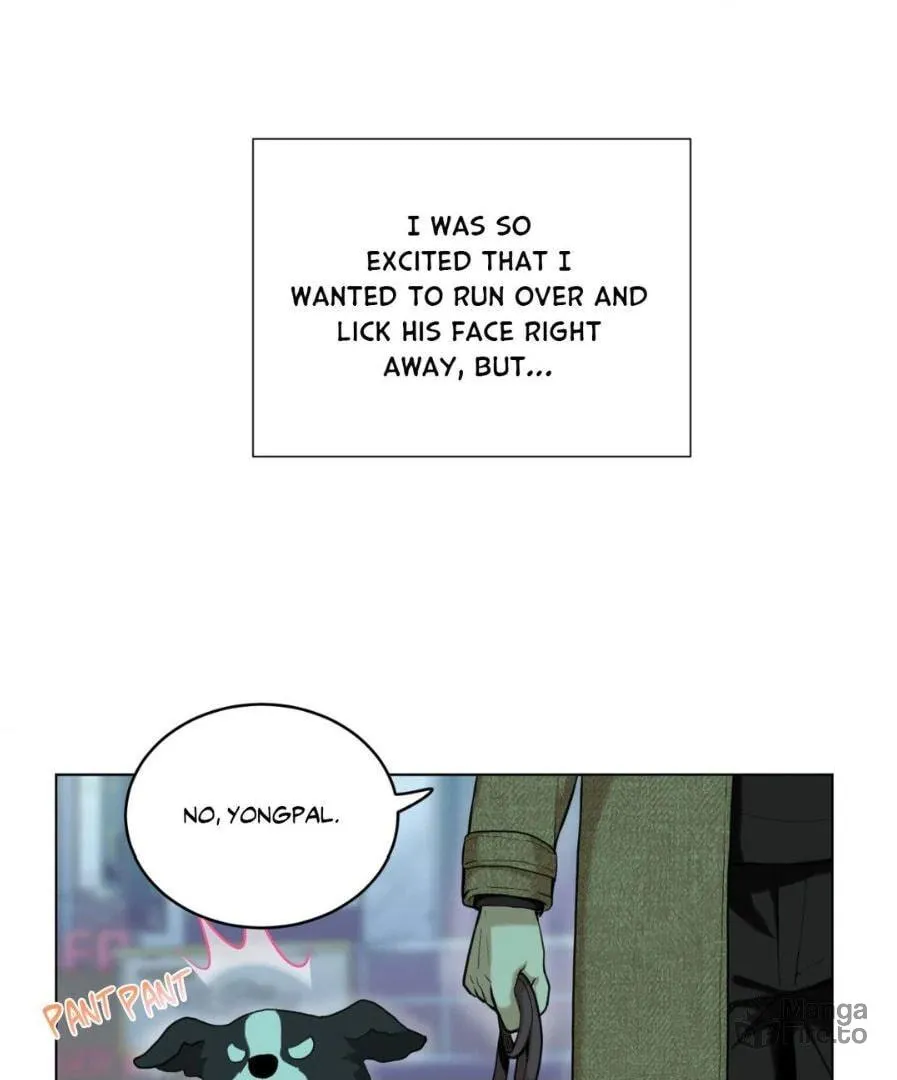 Dog Fur Romance Chapter 12 page 3 - 