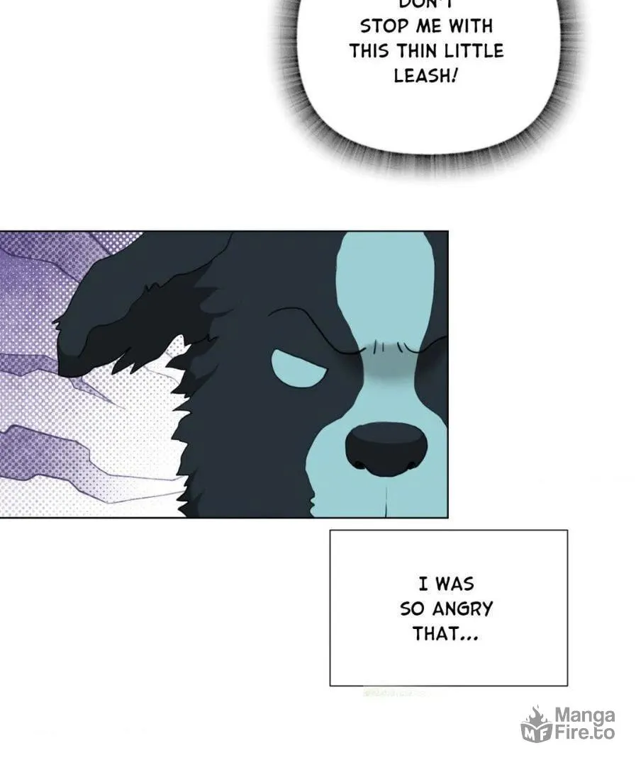 Dog Fur Romance Chapter 12 page 5 - 