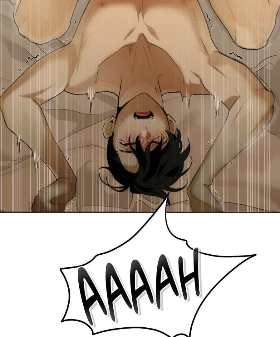 Dog Fur Romance Chapter 12 page 43 - 
