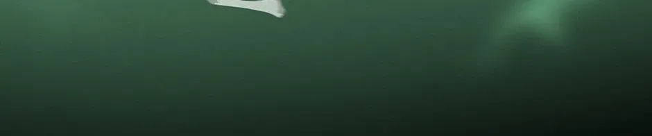 Dokkaebi Exorcism Chapter 7 page 98 - 