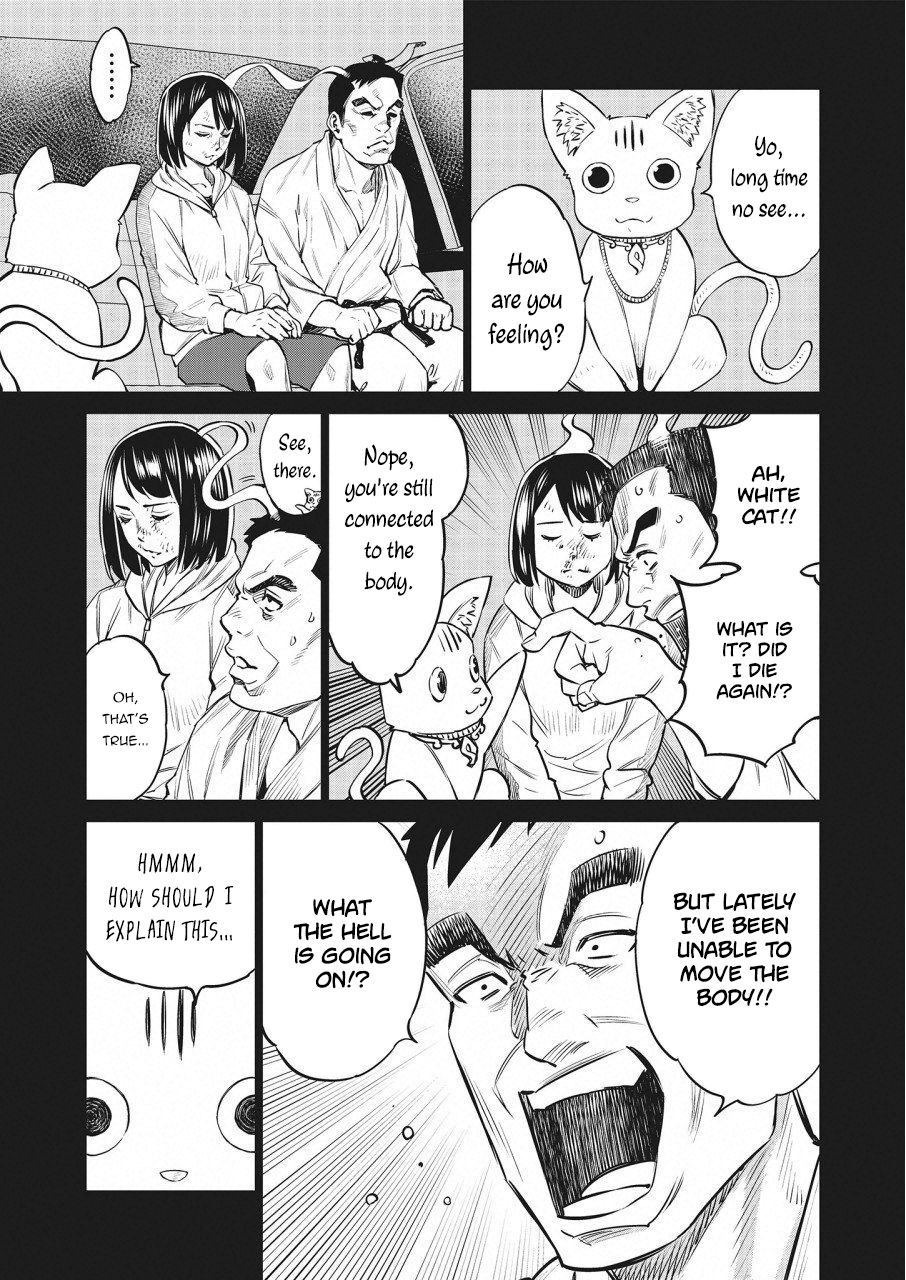Read Dolkara chapter 20 image 15 on Lezhin