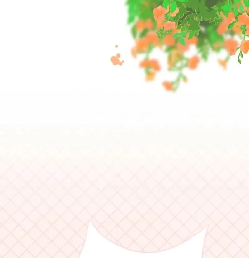 Dolswe, Let Me see It Just Once Chapter 4 page 80 - 