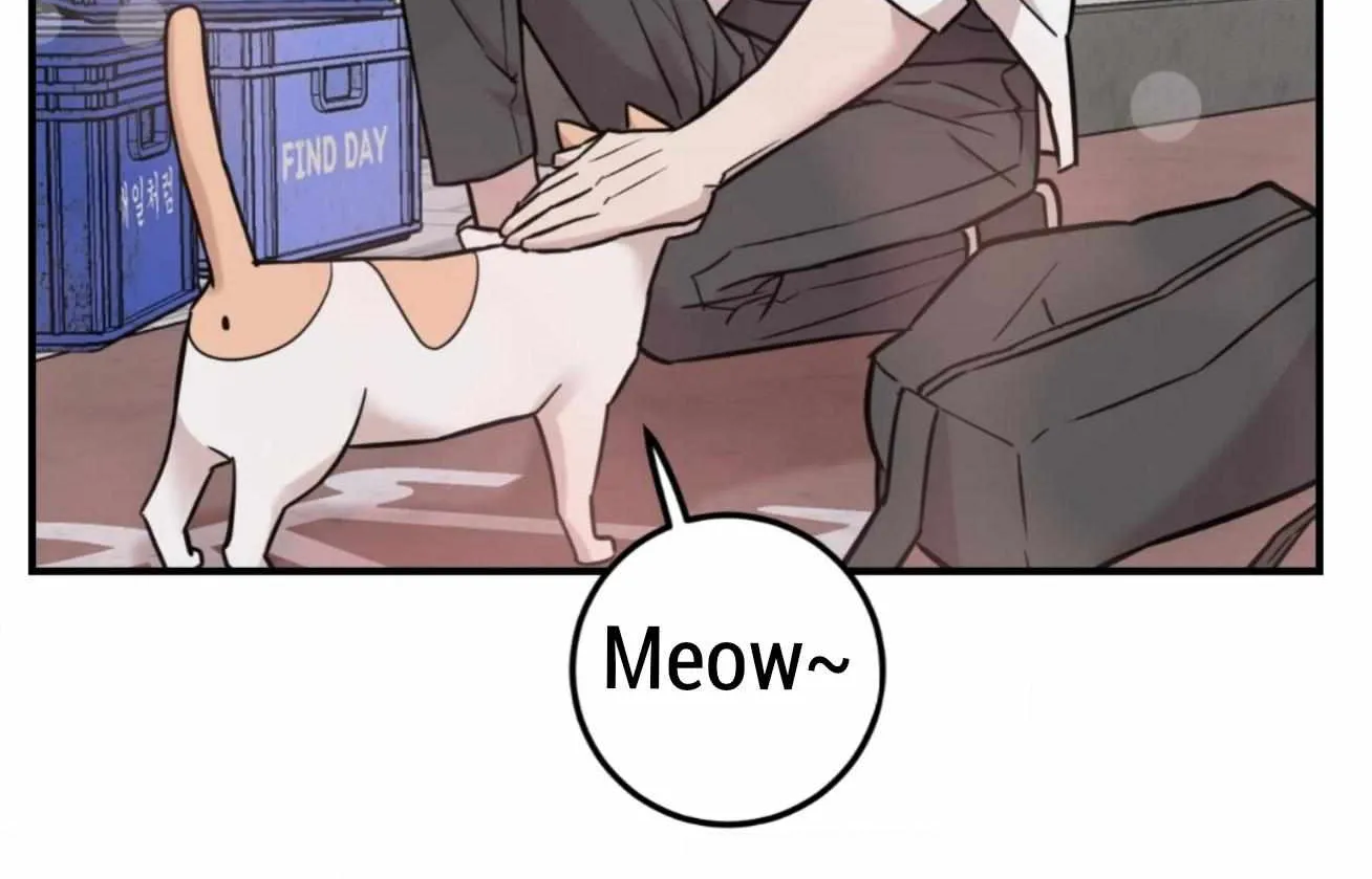 Don't break the glass work Chapter 5 page 72 - 