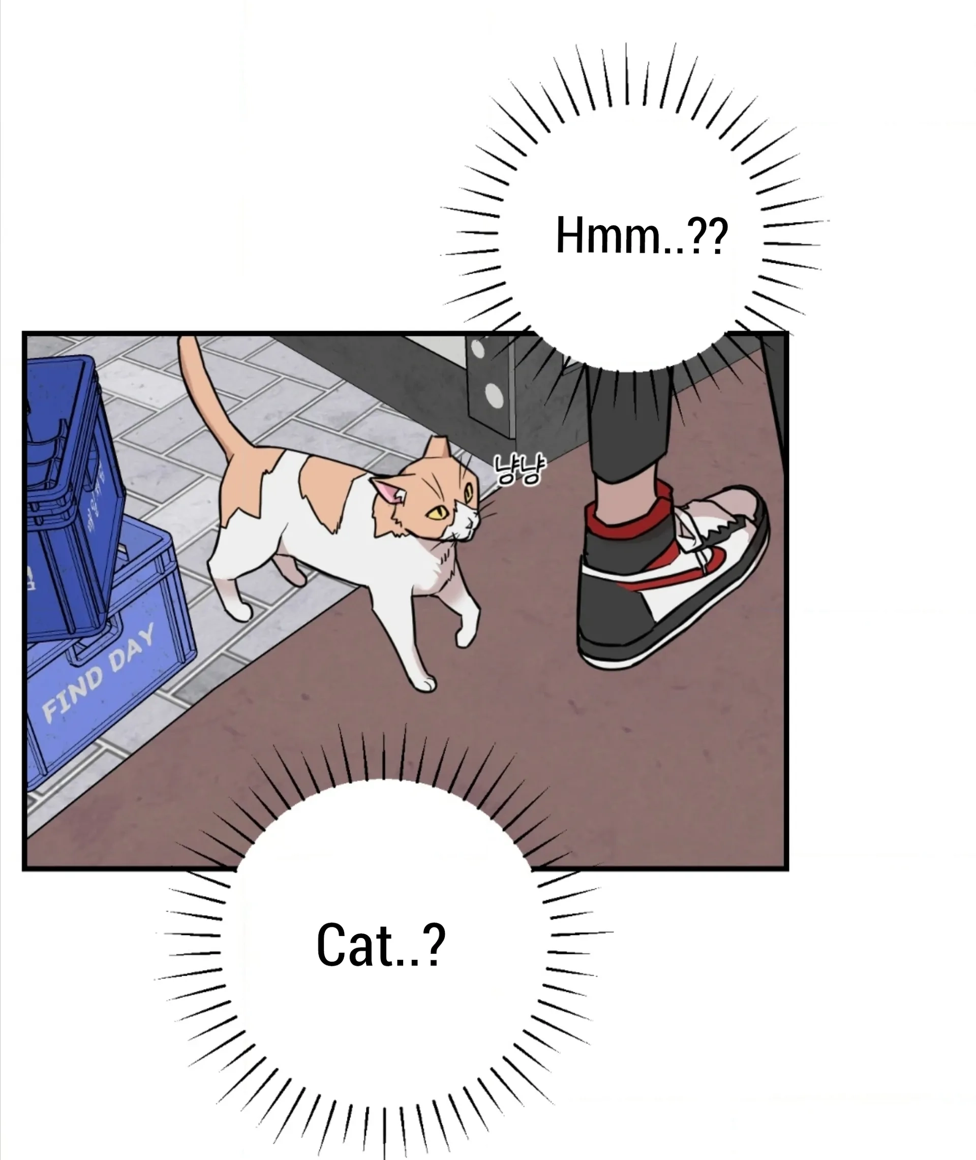 Read Don