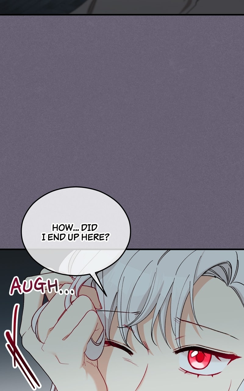 Read Don