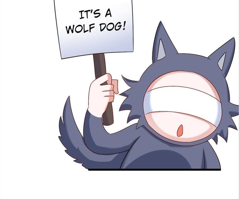 Don't Mess With Missy! Chapter 158 page 63 - 
