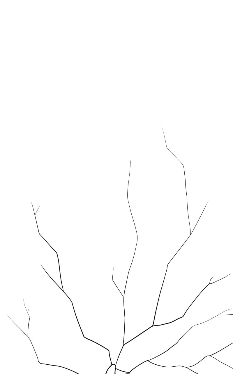 Don't Read This Chapter 256 page 25 - 