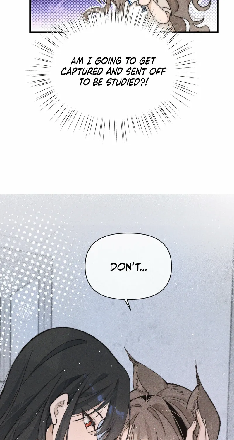 Read Don