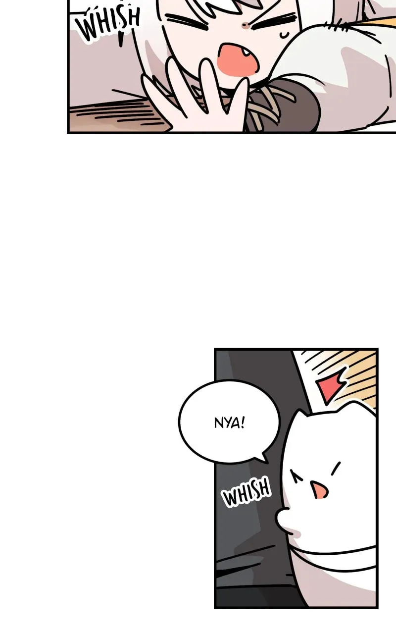 Read Don