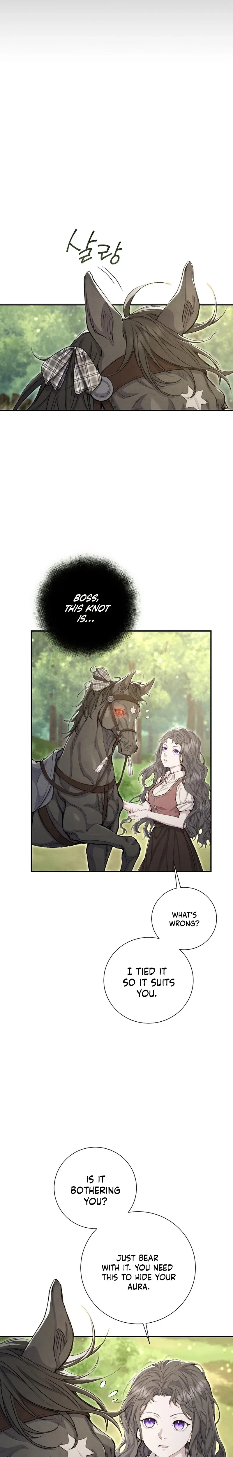 Read Don chapter 11 image 5 on Lezhin