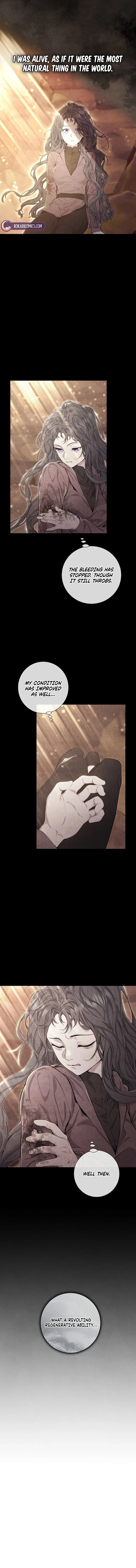 Read Don chapter 13 image 6 on Lezhin