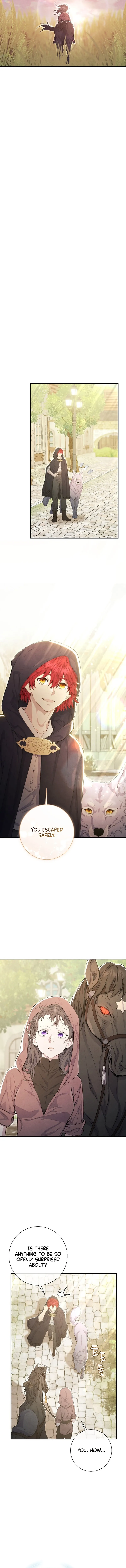 Read Don chapter 14 image 8 on Lezhin