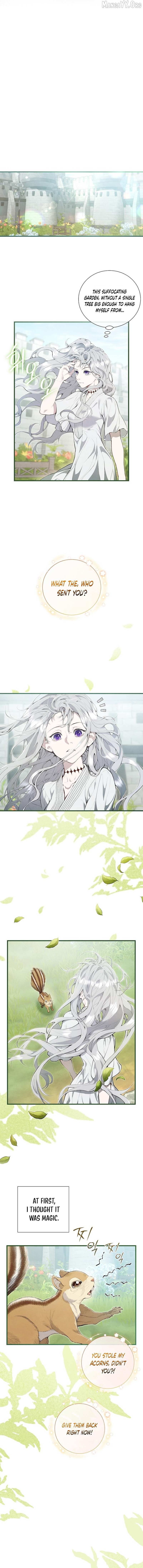 Read Don chapter 2 image 10 on Lezhin