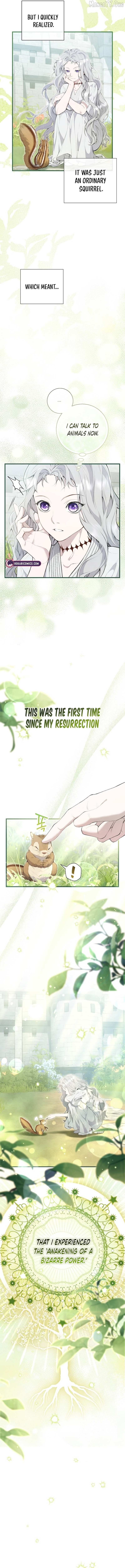 Read Don chapter 2 image 11 on Lezhin