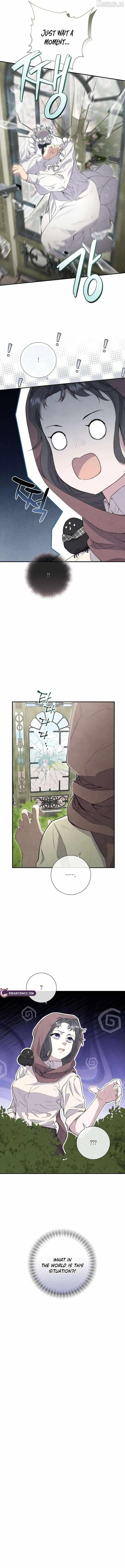 Read Don chapter 28 image 11 on Lezhin