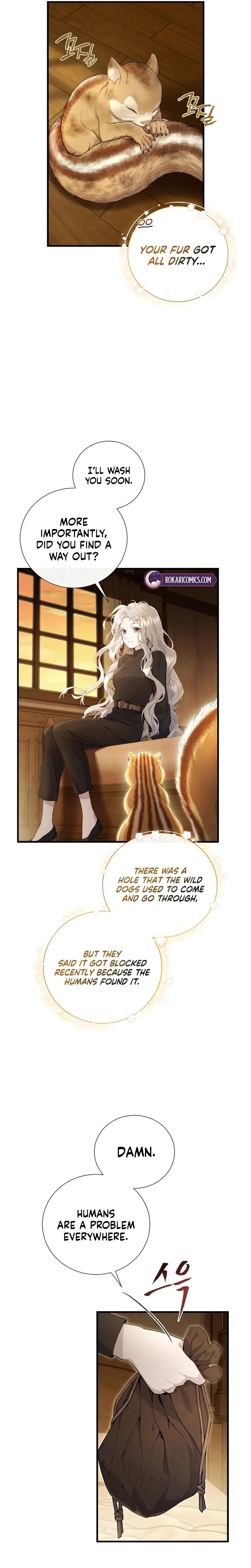 Read Don chapter 3 image 2 on Lezhin