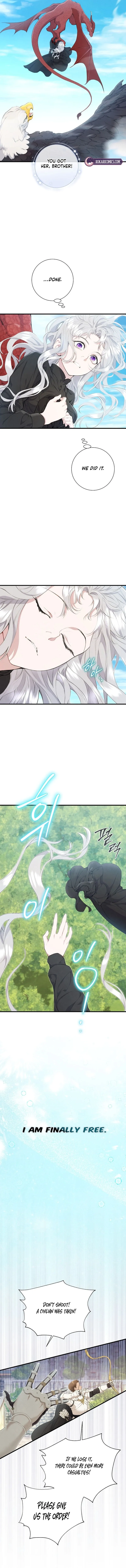 Read Don chapter 5 image 12 on Lezhin