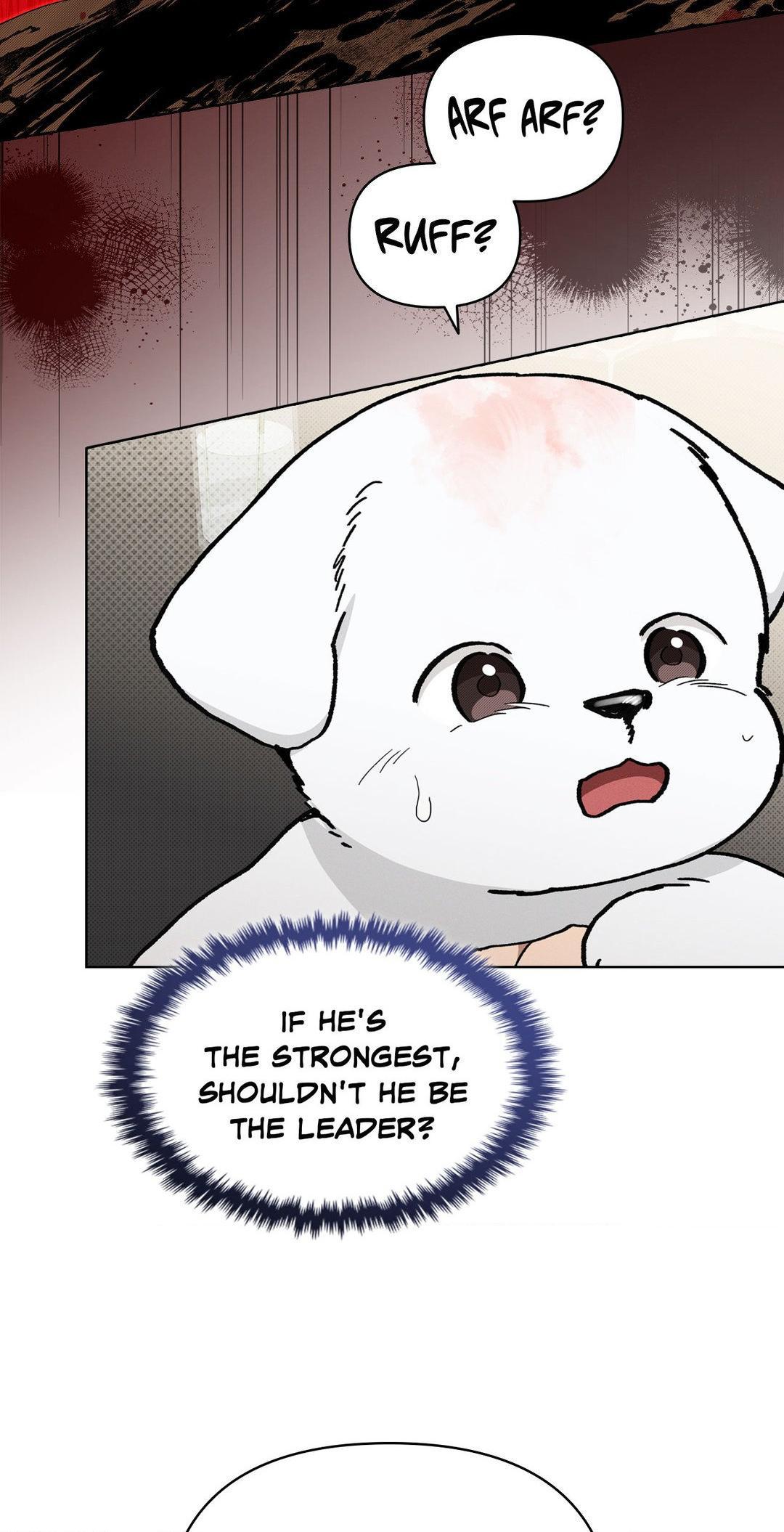 Read Don’t Mess With the Pooch! chapter 11.1 image 16 on Lezhin
