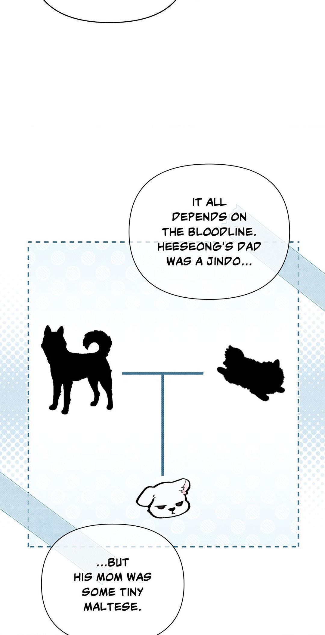 Read Don’t Mess With the Pooch! chapter 11.1 image 65 on Lezhin