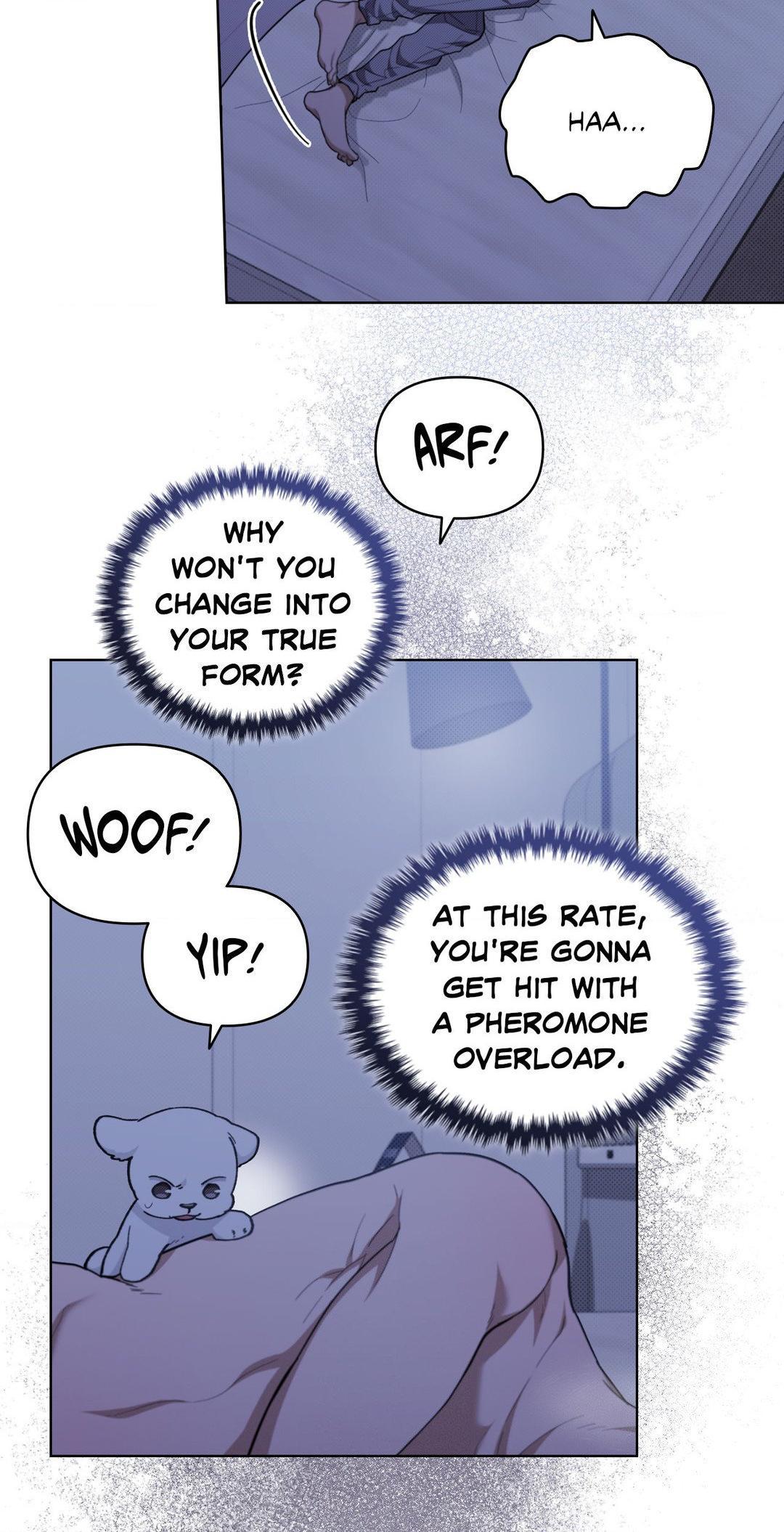 Read Don’t Mess With the Pooch! chapter 12.1 image 68 on Lezhin