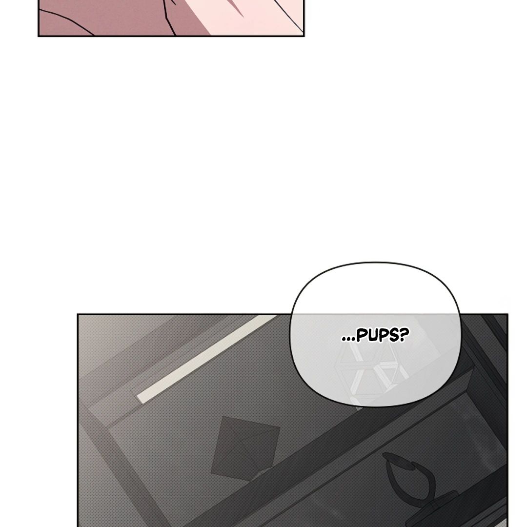 Read Don’t Mess With the Pooch! chapter 14 image 158 on Lezhin