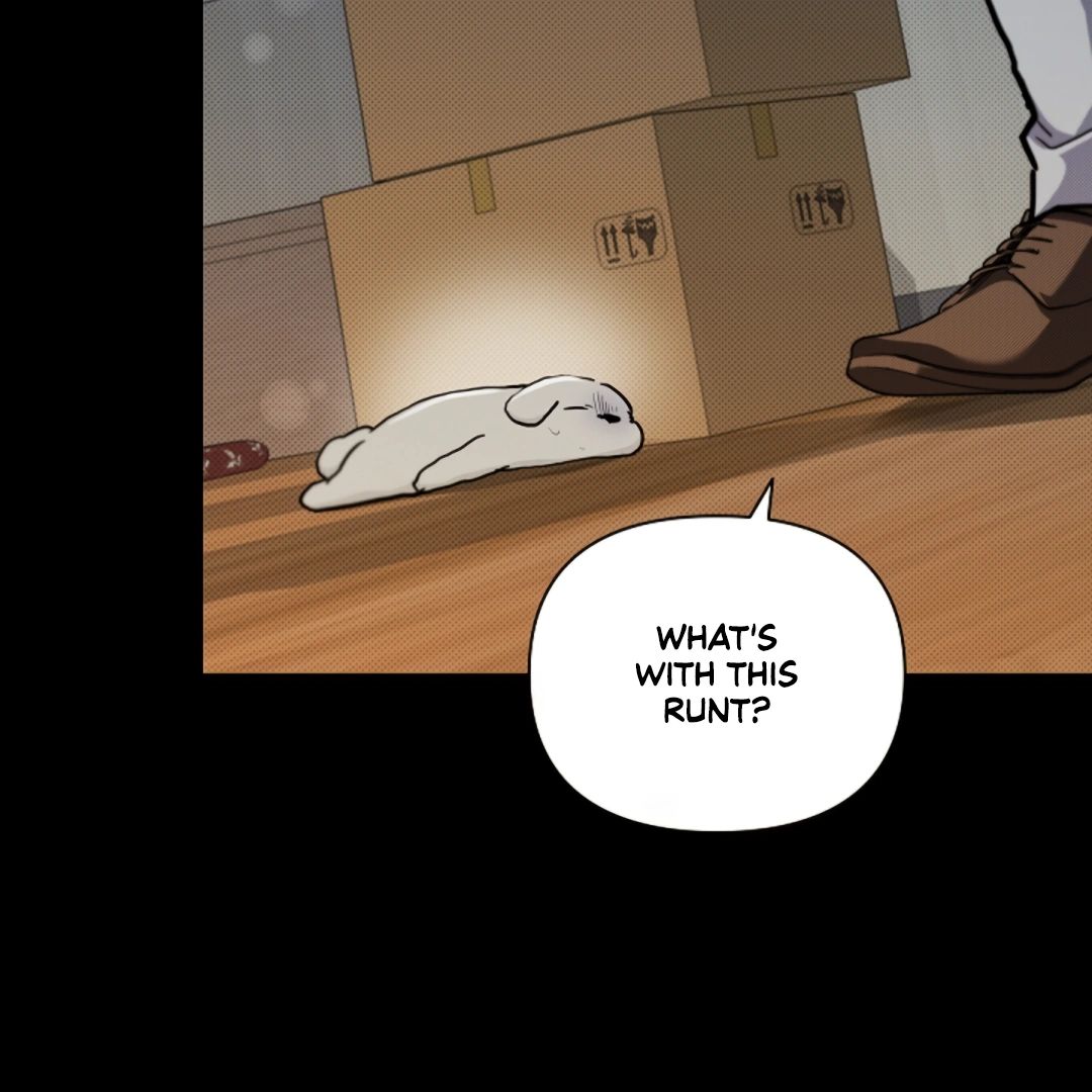 Read Don’t Mess With the Pooch! chapter 16 image 20 on Lezhin