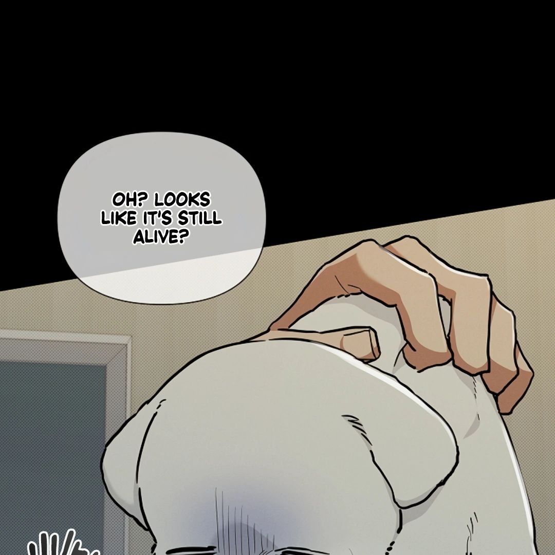 Read Don’t Mess With the Pooch! chapter 16 image 23 on Lezhin