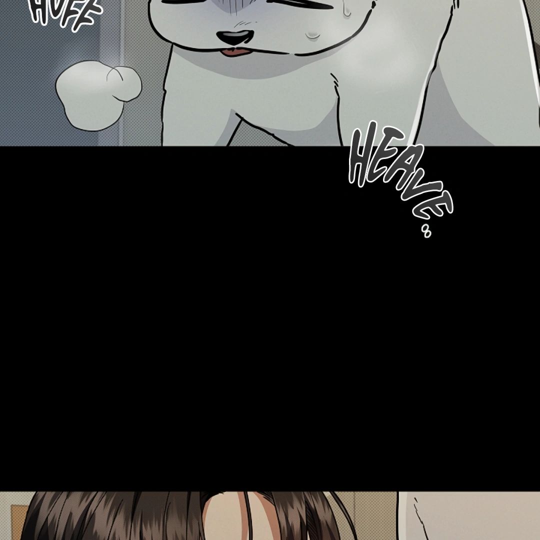 Read Don’t Mess With the Pooch! chapter 16 image 24 on Lezhin
