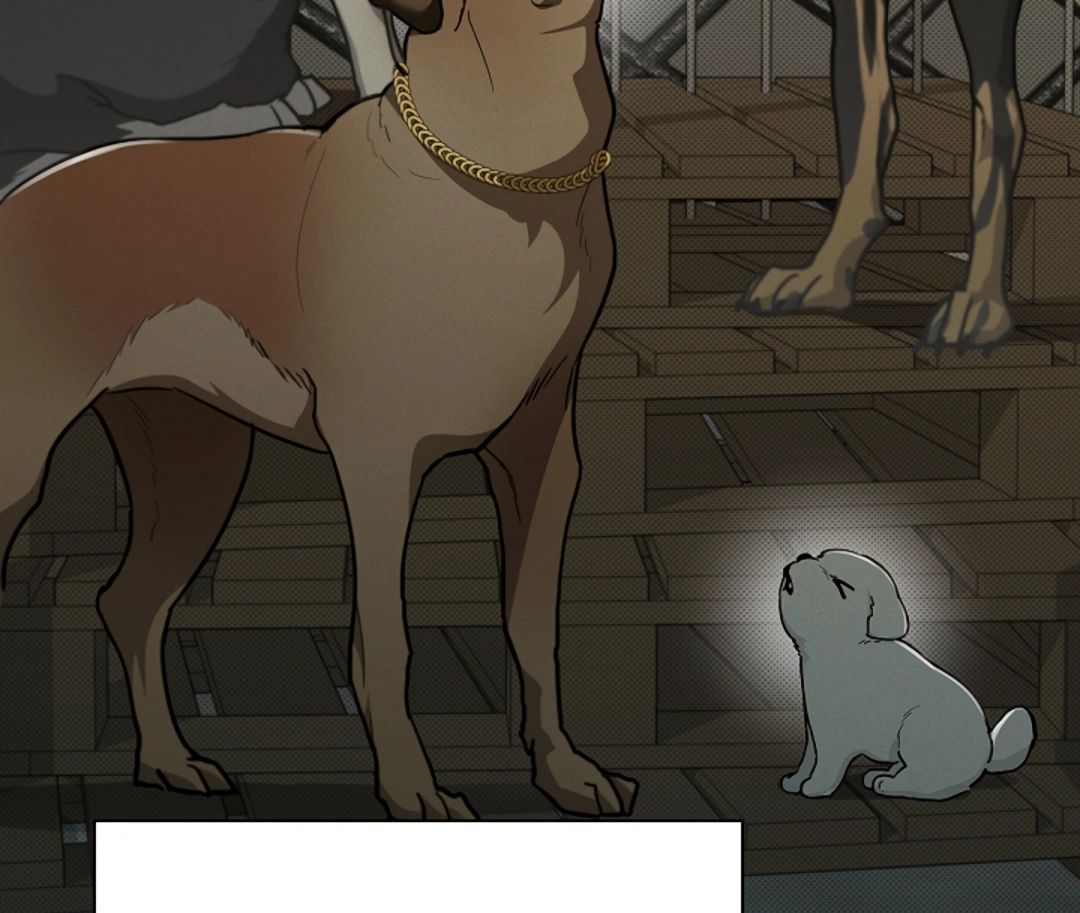 Read Don’t Mess With the Pooch! chapter 16 image 46 on Lezhin
