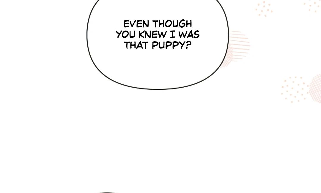 Read Don’t Mess With the Pooch! chapter 17 image 48 on Lezhin