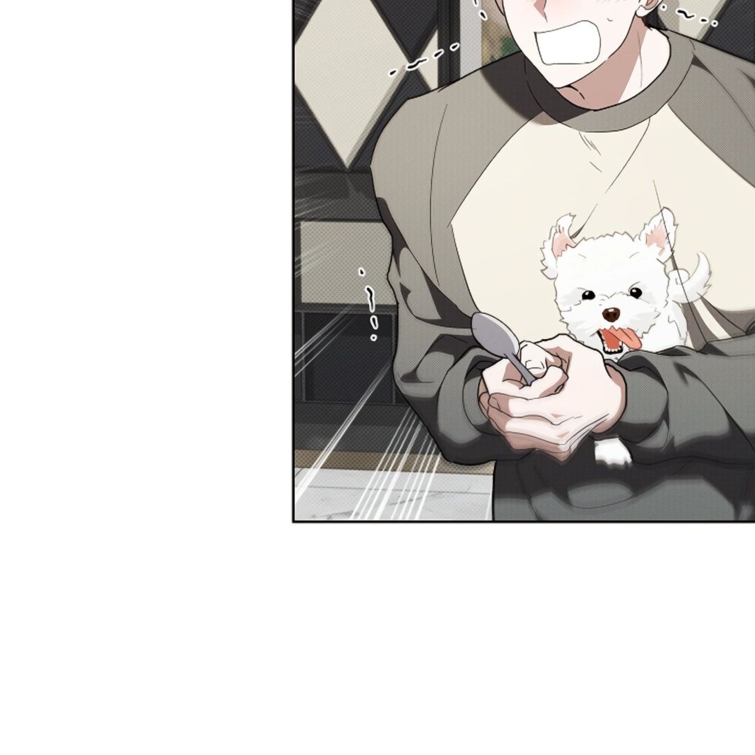 Read Don’t Mess With the Pooch! chapter 17 image 54 on Lezhin