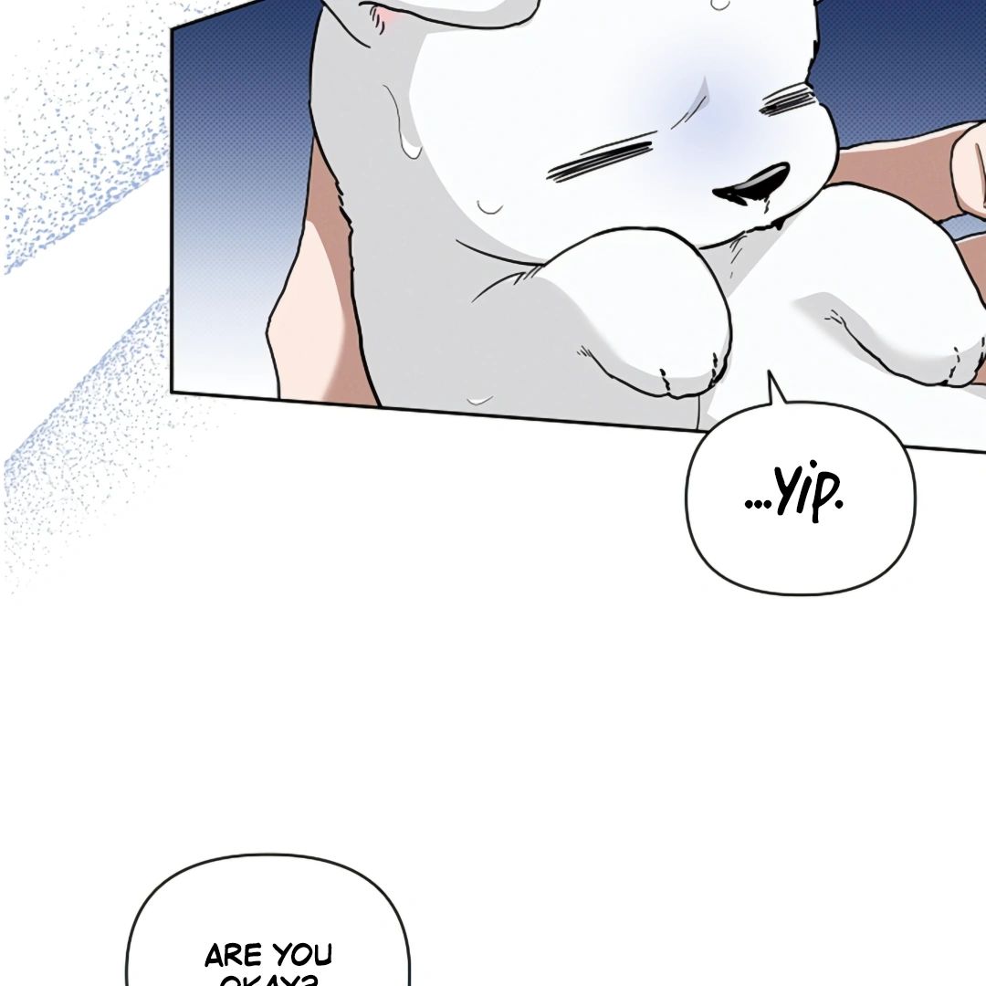 Read Don’t Mess With the Pooch! chapter 17 image 72 on Lezhin