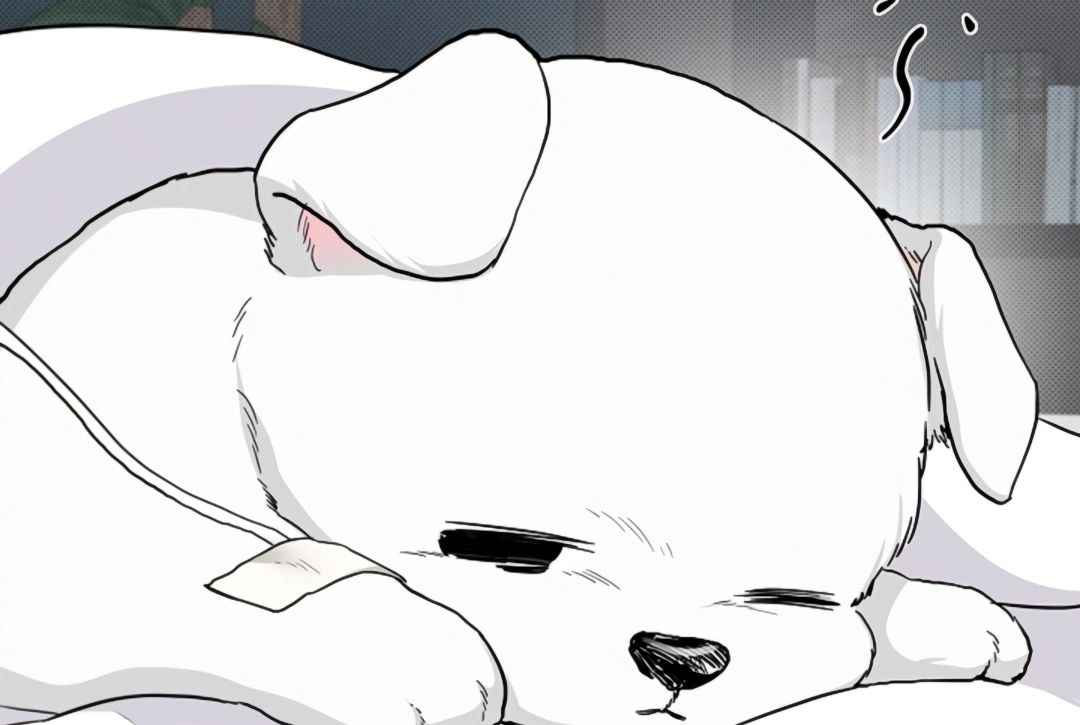Read Don’t Mess With the Pooch! chapter 17 image 85 on Lezhin