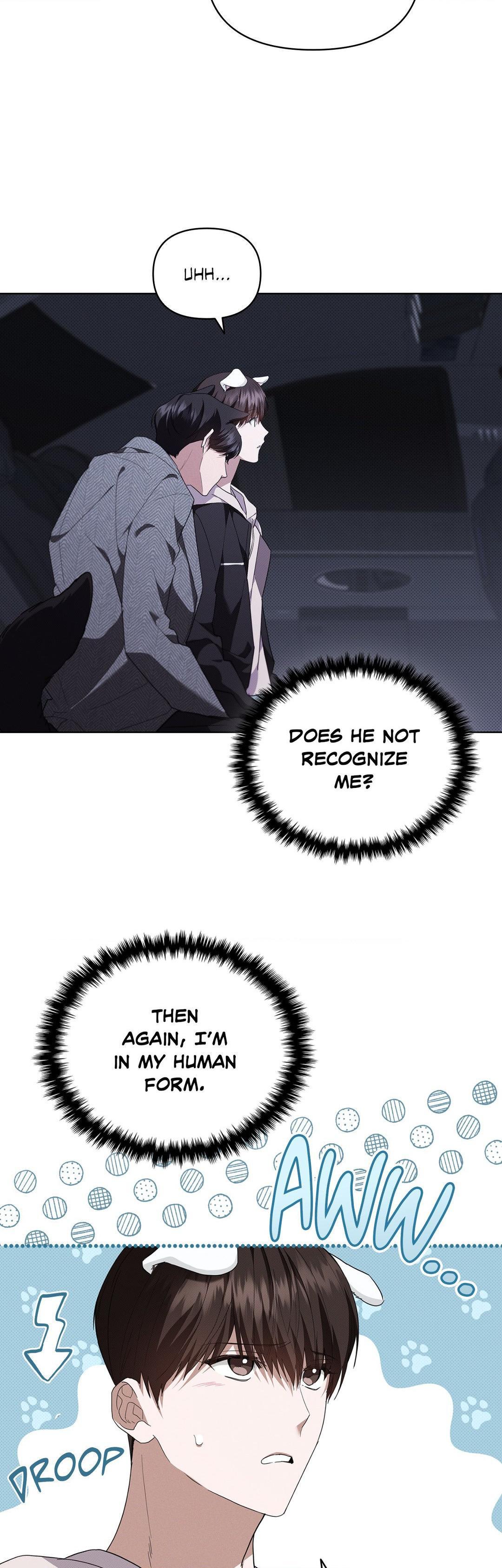 Read Don’t Mess With the Pooch! chapter 19.1 image 58 on Lezhin