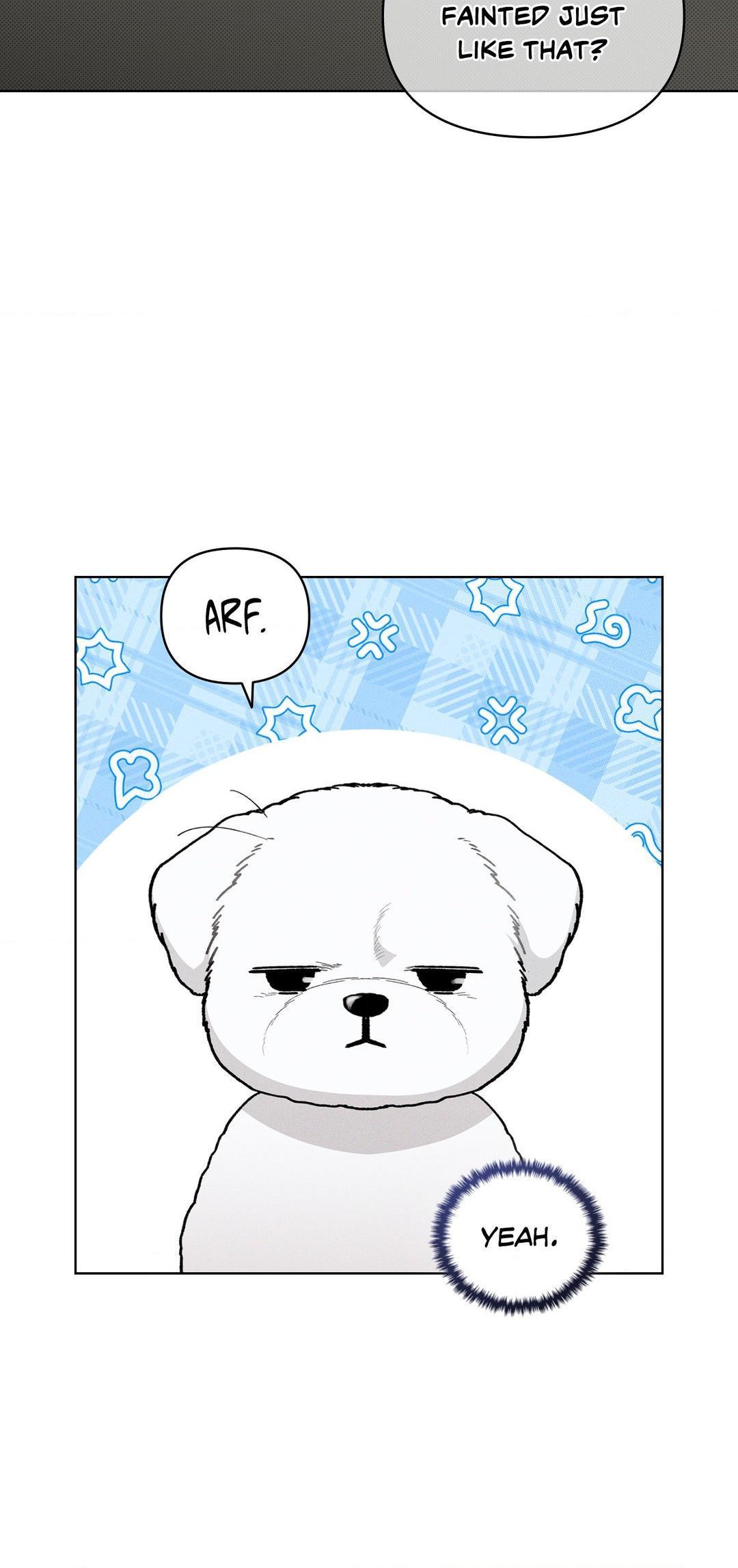 Read Don’t Mess With the Pooch! chapter 2.4 image 1 on Lezhin
