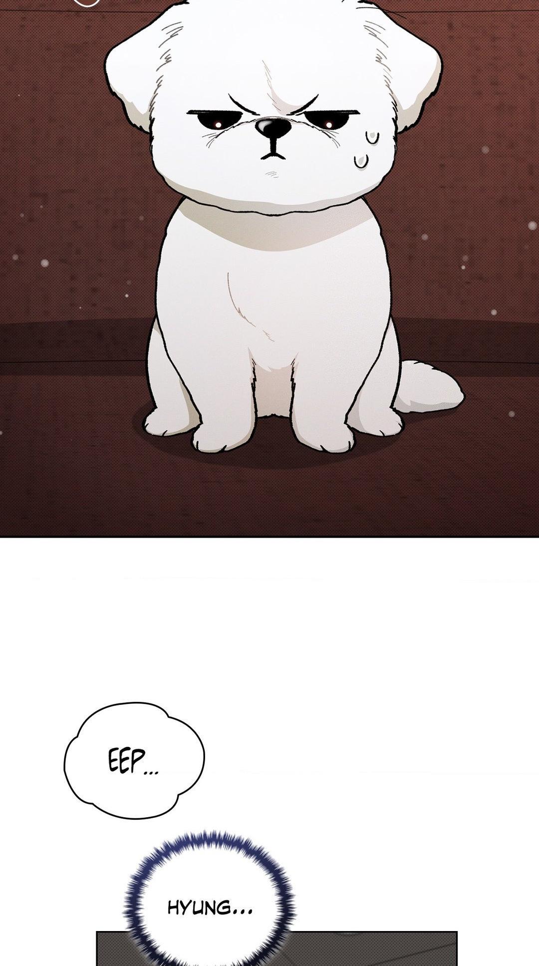 Read Don’t Mess With the Pooch! chapter 2.4 image 12 on Lezhin