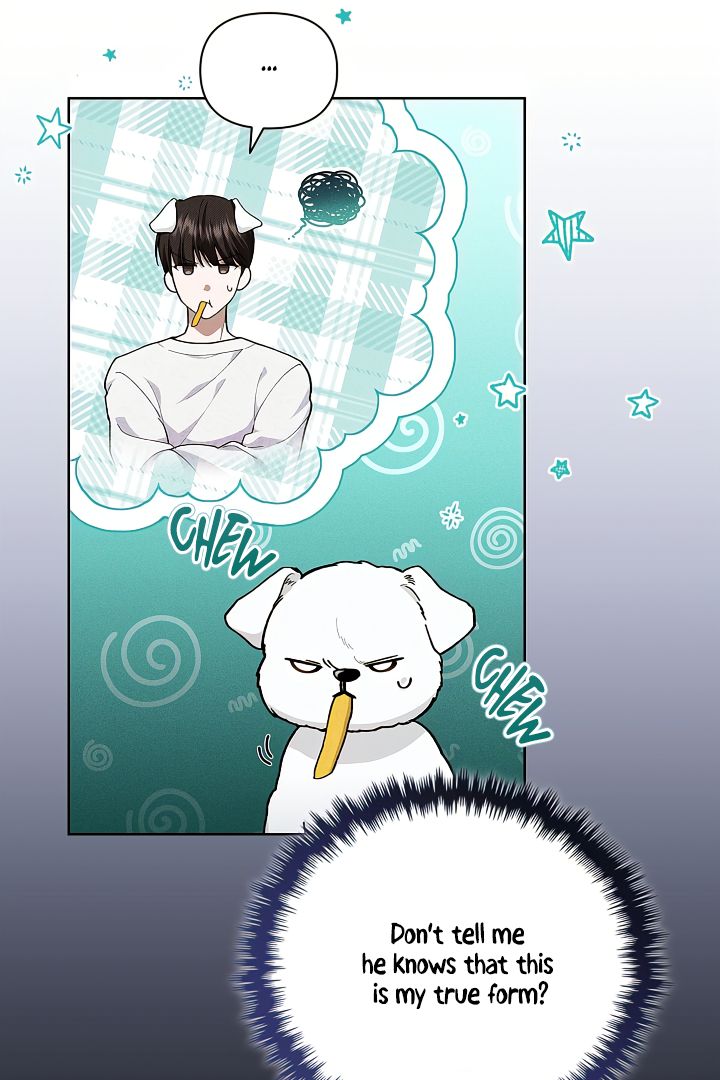 Read Don’t Mess With the Pooch! chapter 2 image 12 on Lezhin