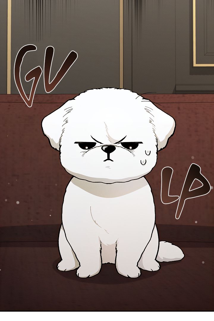 Read Don’t Mess With the Pooch! chapter 2 image 17 on Lezhin