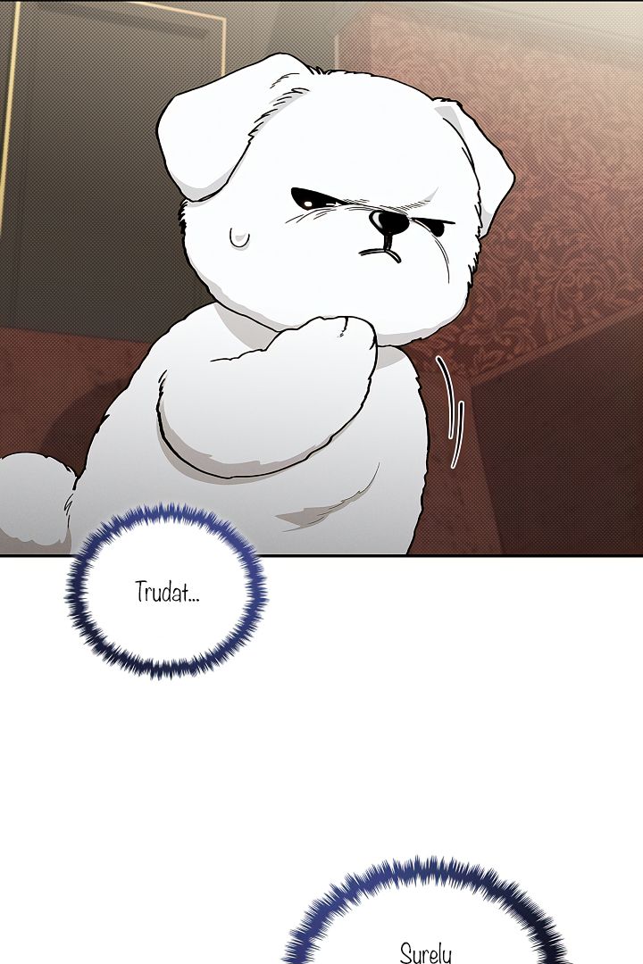Read Don’t Mess With the Pooch! chapter 2 image 21 on Lezhin