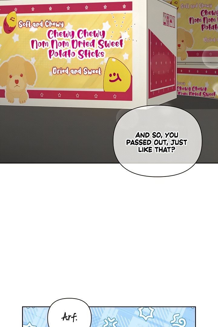 Read Don’t Mess With the Pooch! chapter 2 image 3 on Lezhin